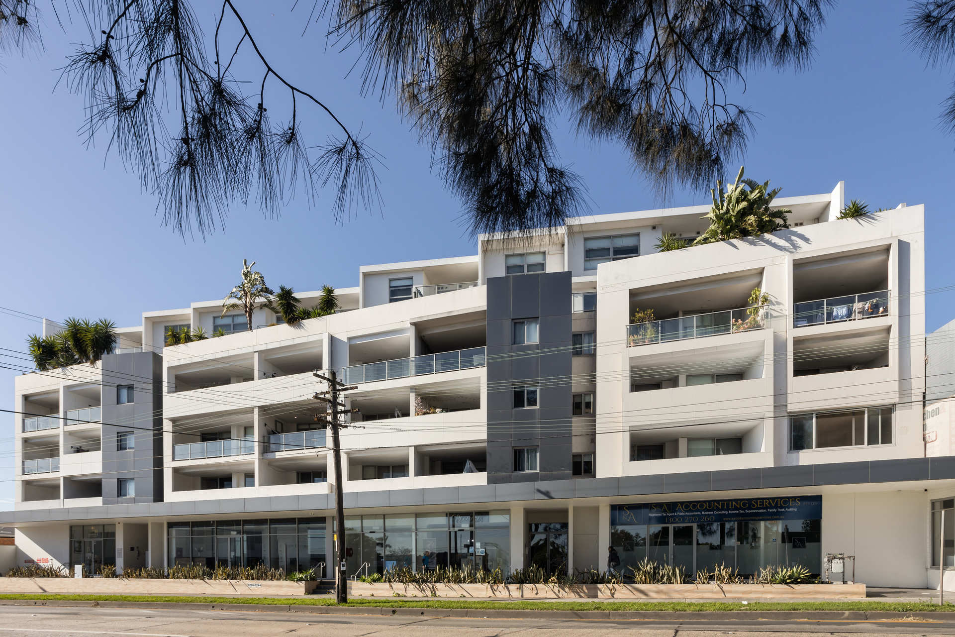 3/1236 Canterbury Road  Roselands NSW 2196